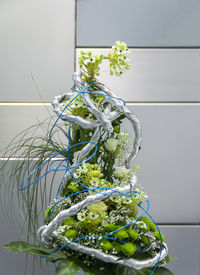 Close-up of plant growing on table against wall