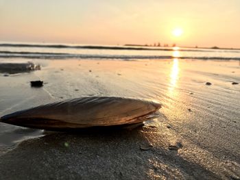 Surface level of beach against sky during sunset