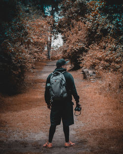 Rear view of man walking on footpath in forest