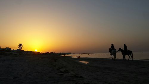 Silhouette people riding on beach against clear sky during sunset