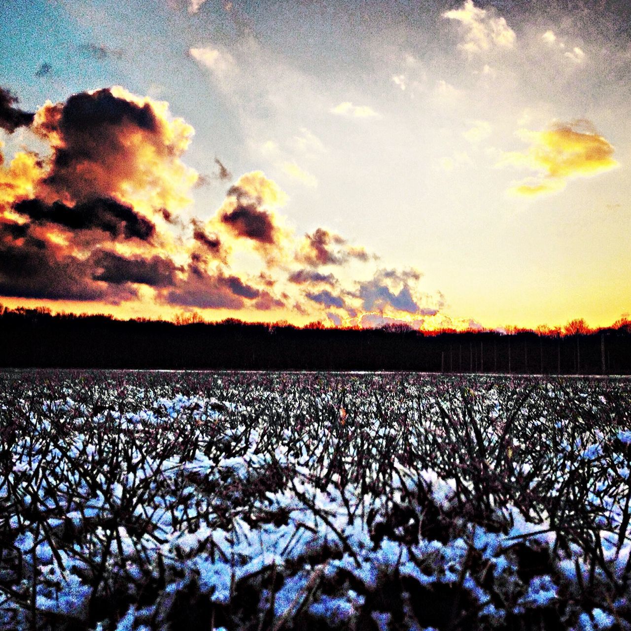 winter, snow, cold temperature, sunset, season, sky, tranquil scene, tranquility, scenics, beauty in nature, nature, orange color, weather, frozen, landscape, field, lake, covering, cloud - sky, water