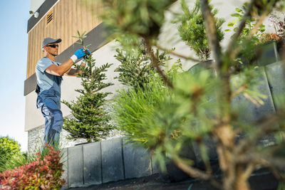 Low angle view of man standing by plants