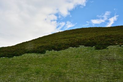 Scenic view of green landscape against sky