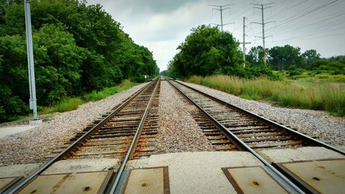 Railroad track passing through trees