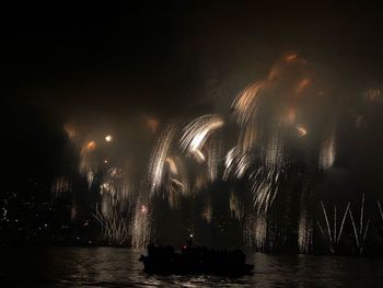 Firework display over river against sky at night