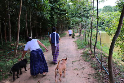 Rear view of people walking by dog in forest