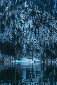 Scenic view of lake in forest