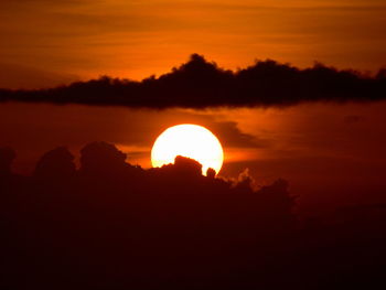 Silhouette of trees at sunset