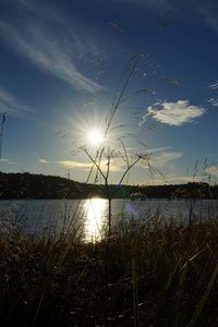 Scenic view of sunset over river