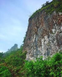 Low angle view of trees on mountain against sky