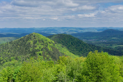 Scenic view of green landscape against sky