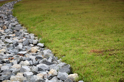 High angle view of rocks on grassy field