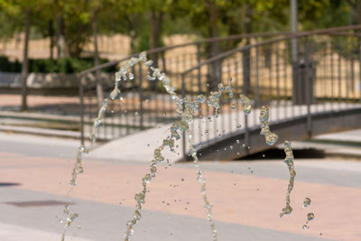 Water fountain in park