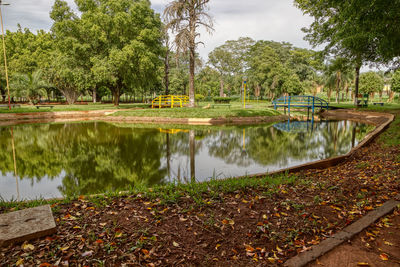 Plants growing in park by lake against sky