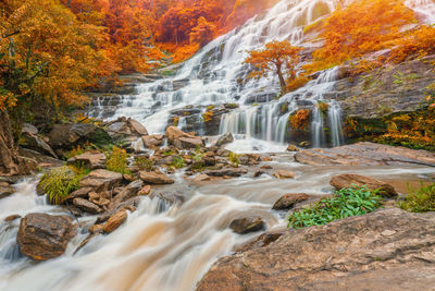 Scenic view of waterfall in forest during autumn