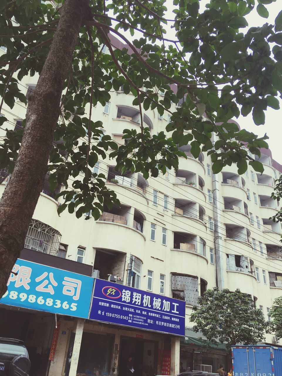 building exterior, architecture, built structure, low angle view, text, tree, window, building, western script, city, branch, communication, residential building, day, no people, outdoors, residential structure, non-western script, growth, sunlight