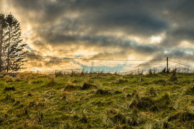 Scenic view of field against sky during sunset