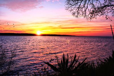 Scenic view of sea against orange sky