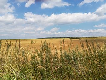 Scenic view of field against sky