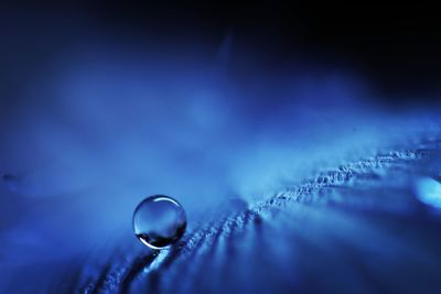 Close-up of water drop on blue surface