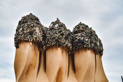 Low angle view of bread on tree against sky