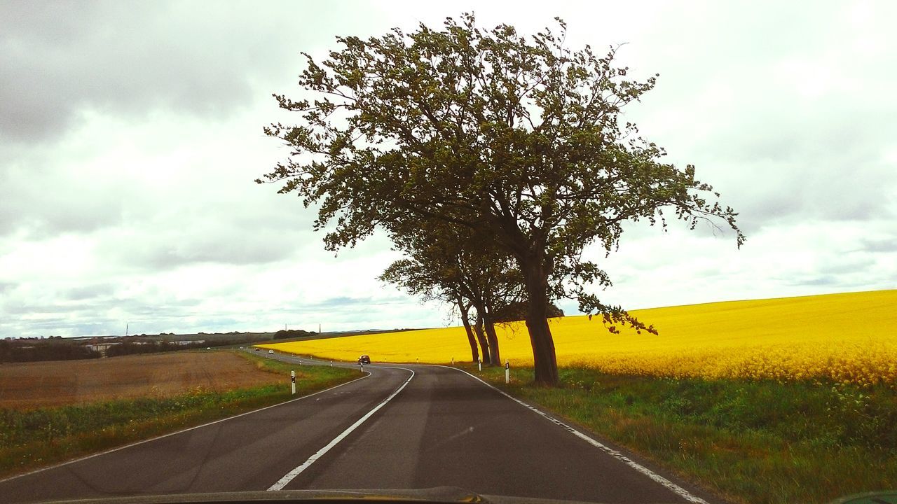 sky, transportation, landscape, field, road, the way forward, cloud - sky, rural scene, agriculture, diminishing perspective, tranquil scene, tree, tranquility, cloud, cloudy, nature, country road, yellow, scenics, beauty in nature