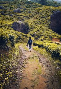 Rear view of man walking on trail