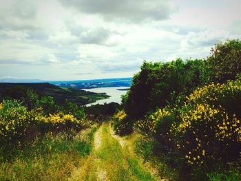 Scenic view of sea against cloudy sky