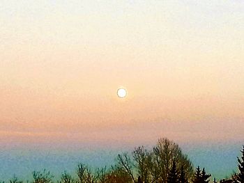 Low angle view of moon in sky