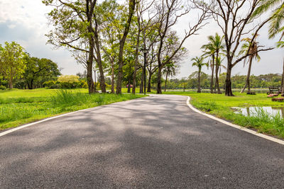 Empty road amidst trees against sky