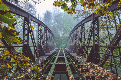 Railroad bridge amidst trees against sky