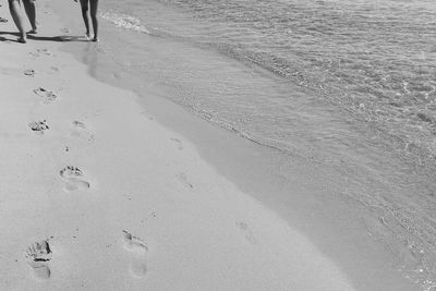 Low section of people walking on beach