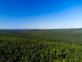 Scenic view of field against clear blue sky