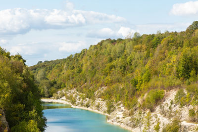 Scenic view of river amidst trees against sky