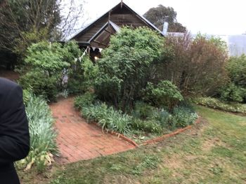 Trees and plants outside house in yard