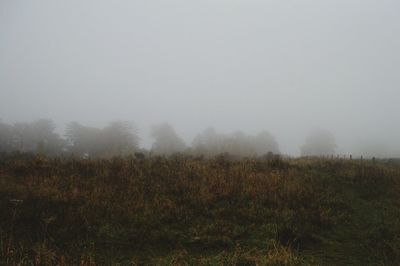 Scenic view of field against sky