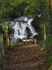 Scenic view of waterfall against trees in forest