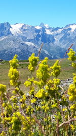 Scenic view of snowcapped mountains against clear sky