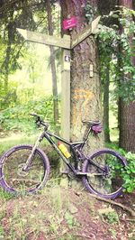 bicycle