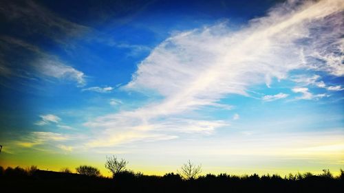 Low angle view of silhouette trees against sky