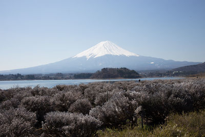 Scenic view of snowcapped mountain against sky