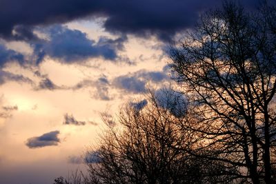 Low angle view of silhouette bare trees against sky at sunset