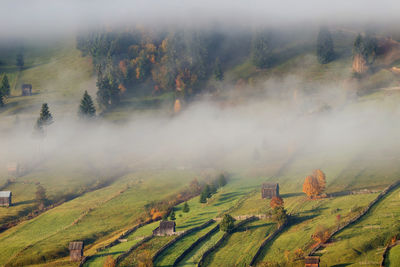 Scenic view of agricultural field during foggy weather