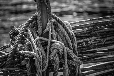 Close-up of rope tied on wood