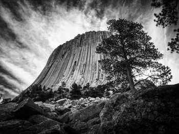 Scenic view of devils tower