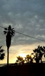 Low angle view of silhouette trees against sky at sunset