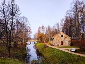 Scenic view of bare trees and plants against sky