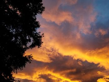 Low angle view of silhouette trees against dramatic sky