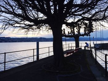 Bare trees by sea against sky