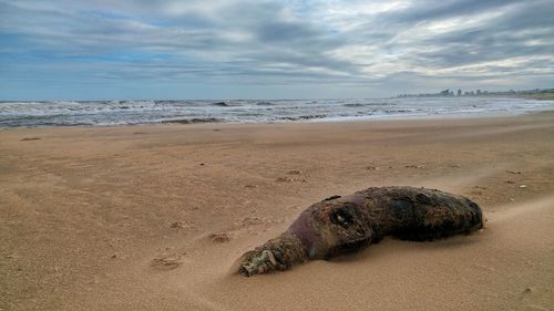 Scenic view of beach against sky